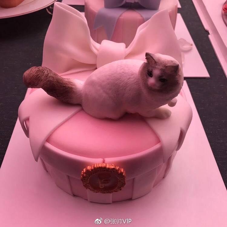 Để có màn cầu hôn trào nước mắt của Phạm Băng Băng, soái ca Lý Thần phải quỳ đến... 4 lần-9