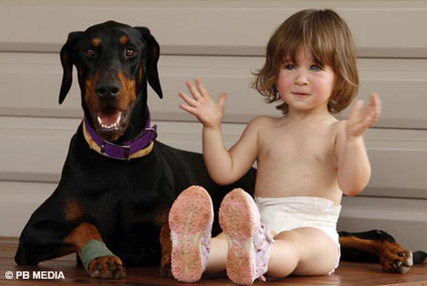 Mẹ hốt hoảng khi chú chó tha con gái nhỏ ném đi xa cả mét, nhưng hóa ra đó là hành động anh hùng-3