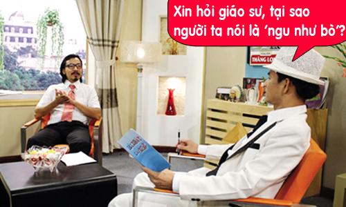 Tại sao người ta thường nói ngu như bò? Và đây là lý do bất ngờ!-2