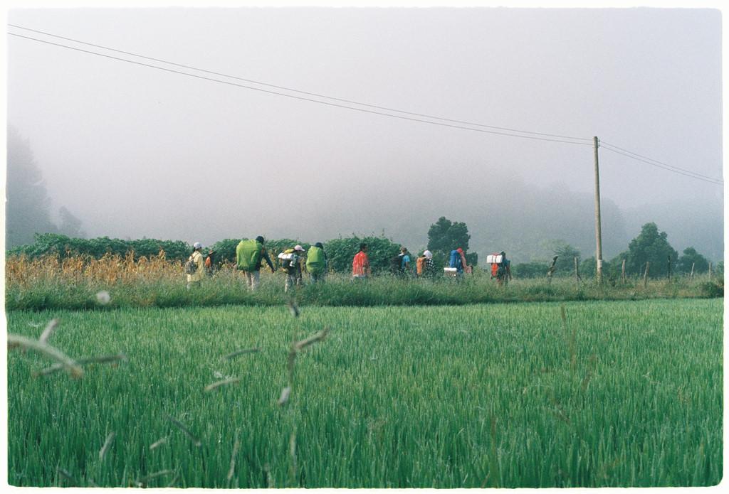 Cung đường trek đẹp nhất Việt Nam qua ảnh film-1