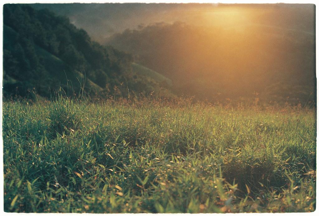 Cung đường trek đẹp nhất Việt Nam qua ảnh film-11