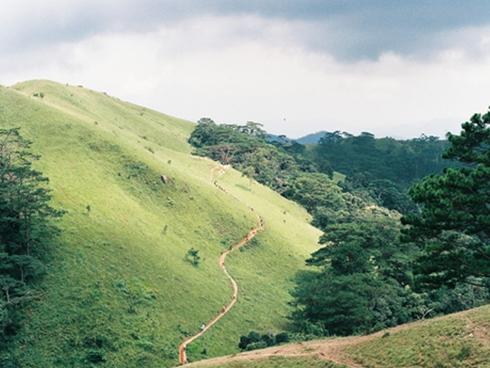 Cung đường trek đẹp nhất Việt Nam qua ảnh film