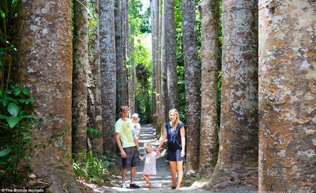 Vợ chồng trẻ bán hết tài sản để đưa 2 con đi du lịch-1