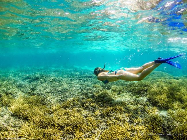 Vợ chồng trẻ bán hết tài sản để đưa 2 con đi du lịch-5