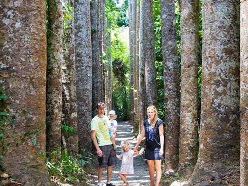 Vẻ đẹp bất tận của hòn đảo hình trái tim Tasmania-3