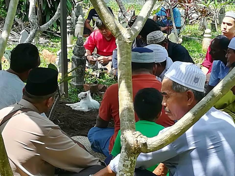 Video: Xót xa nhìn chú mèo bất lực bới mộ ông chủ vừa được chôn cất-4