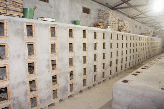 Mục sở thị báu vật trên con phố có nhiều đại gia nhất nhì Hà Nội-2