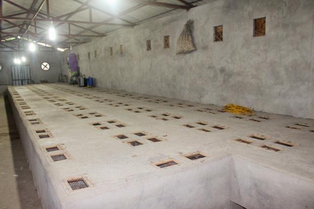 Mục sở thị báu vật trên con phố có nhiều đại gia nhất nhì Hà Nội-3