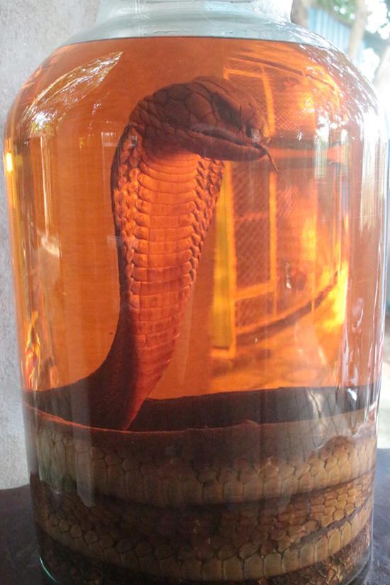 Mục sở thị báu vật trên con phố có nhiều đại gia nhất nhì Hà Nội-11