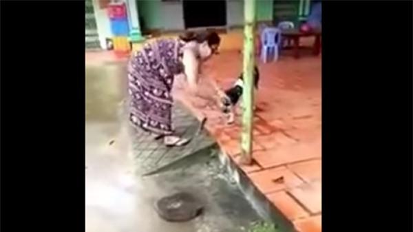 Hình ảnh đáng sợ nhất trong ngày: Người phụ nữ dùng dao chặt chân chú chó dã man-1