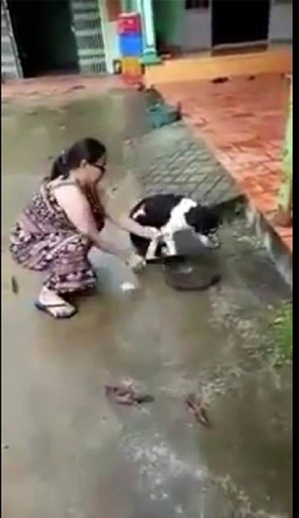 Hình ảnh đáng sợ nhất trong ngày: Người phụ nữ dùng dao chặt chân chú chó dã man-2