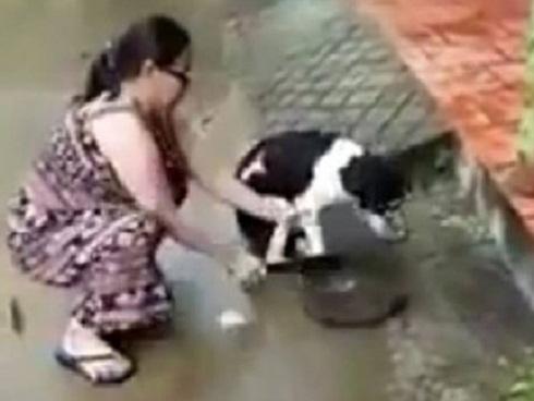 Clip: Chú chó bị chặt chân sợ sệt nhưng vẫn quẩy đuôi mừng khi được chủ chăm sóc-2