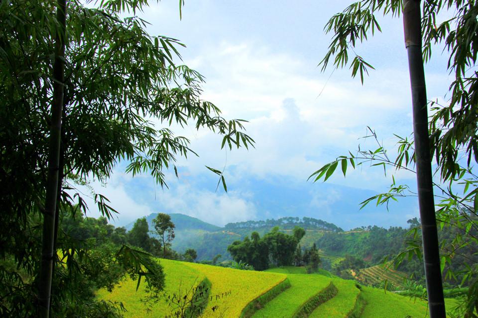 Qua đèo vượt dốc đến Bản Phùng ngắm lúa thu-8