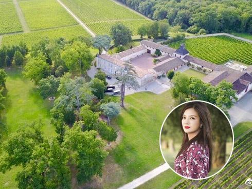 Đẳng cấp giàu có của Triệu Vy: Mua cả đồn điền rượu vang của vua Pháp Louis XIII!