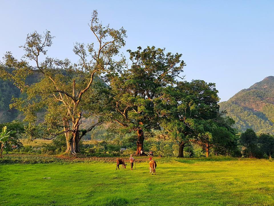 Hơn 100 ngày đầu tiên đi khắp thế giới của chàng trai Việt-6