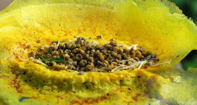 Đến Bến Tre, ngoài ăn dừa thả phanh thì còn gì ngon?-2