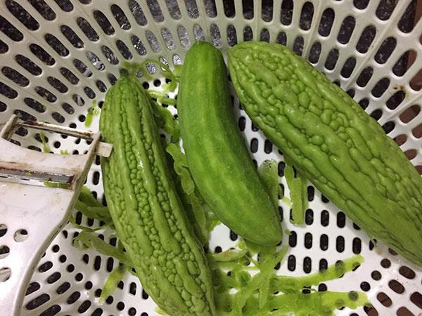 Cô nàng gọt mướp đắng bị dân tình cười bò vì siêu phẩm mướp đắng đội lốt dưa chuột-2