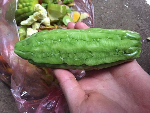 Cô nàng gọt mướp đắng bị dân tình cười bò vì siêu phẩm mướp đắng đội lốt dưa chuột-9