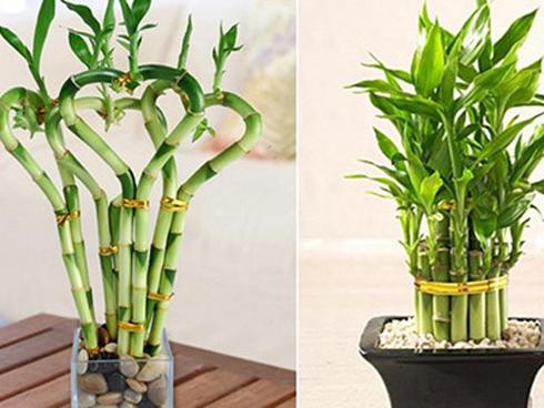 Thứ Ba của bạn (26/9): Song Tử khép lại những gì dang dở-2