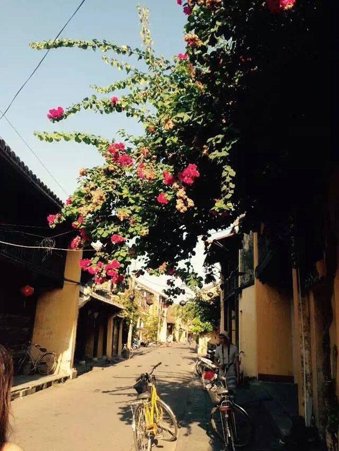 Có một Hội An trong veo, mơ màng và rất đỗi yên bình buổi sớm mai-9