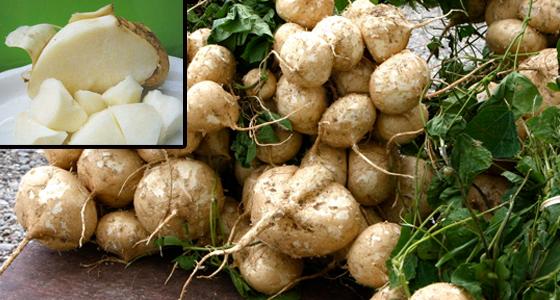 Sự thật bất ngờ về quả nhân sâm trong Tây du ký 1986-3