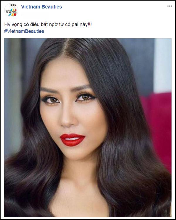 Nguyễn Thị Loan là đại diện chính thức của Việt Nam tại Hoa hậu Hoàn vũ Thế giới 2017?-2