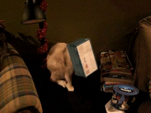 Nảy bần bật nhờ cô người yêu to như hộ pháp-1