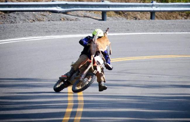 Hết tháng cô hồn rồi vẫn còn đen đủi thế này sao?-3