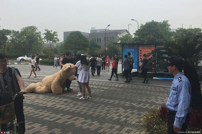 Mang xe 8 tỷ và gấu khổng lồ tỏ tình, chàng trai vẫn bị từ chối phũ-2