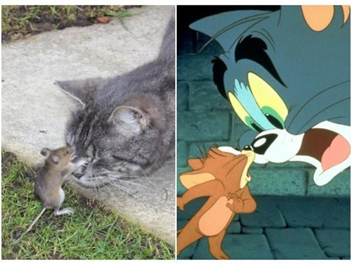 Clip: Lĩnh đủ chỉ vì cái tội... nghịch ngu-1