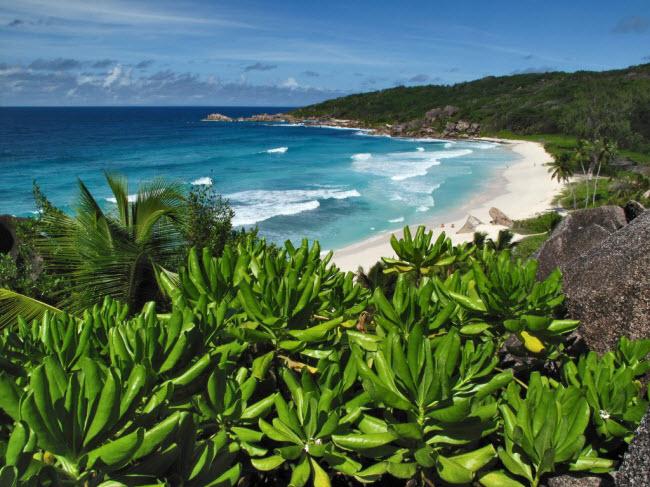 Tiết lộ bí quyết để có những bức ảnh đẹp xuất thần trên bãi biển-4