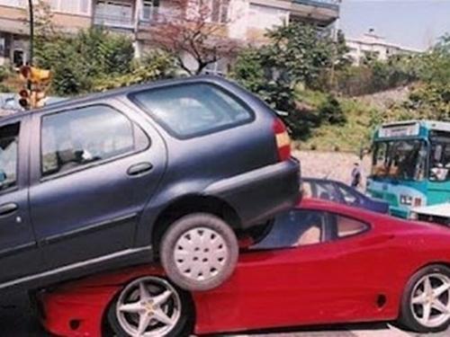 Những khoảnh khắc cười rơi mồm của bè lũ động vật-8