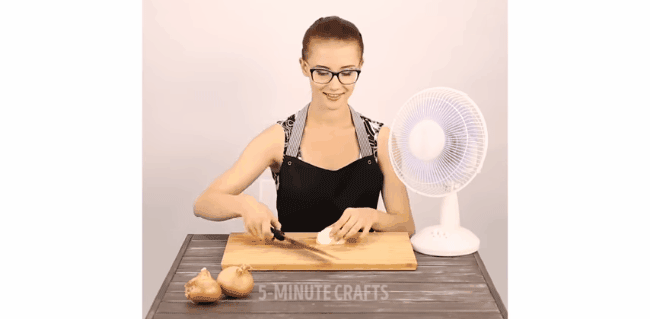 Tuyệt chiêu thái hành khiến chị em không còn chảy nước mắt ròng ròng-4