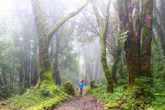 Hành trình trekking đường núi ở đất nước Nepal huyền bí-3