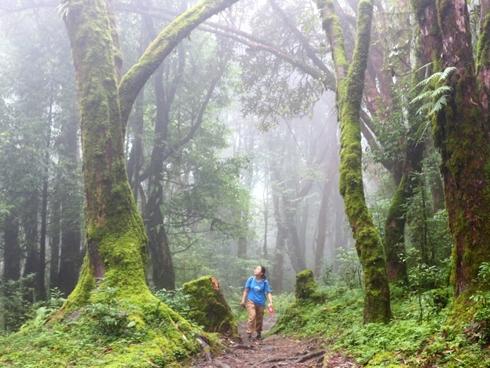 Hành trình trekking đường núi ở đất nước Nepal huyền bí