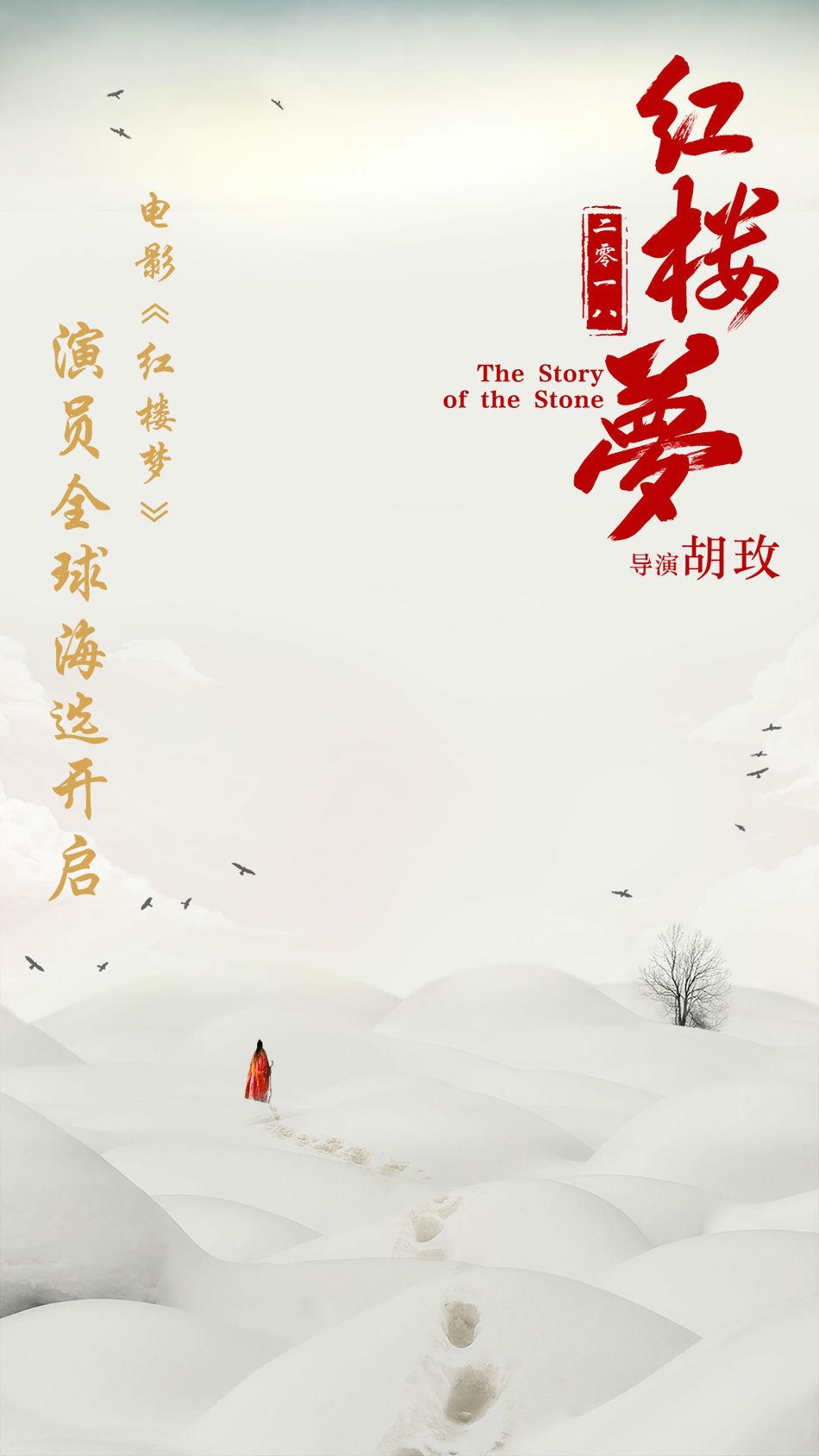 Hồng Lâu Mộng bản điện ảnh tuyển diễn viên trên toàn cầu-5