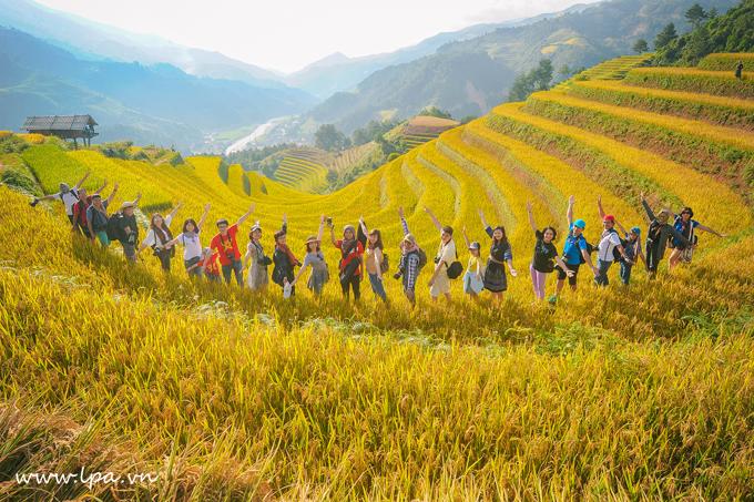 Sắc vàng lúa chín trên rẻo cao ở Mù Cang Chải-10