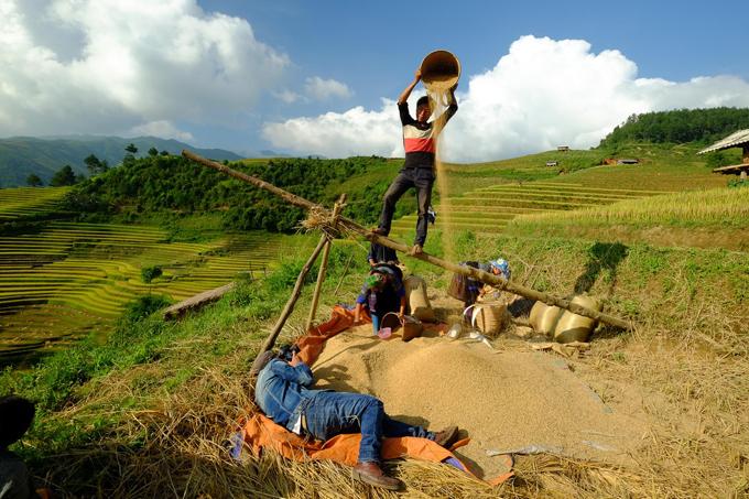 Sắc vàng lúa chín trên rẻo cao ở Mù Cang Chải-14