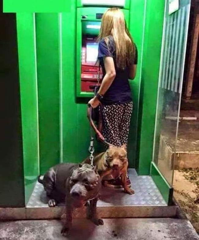 Nhìn đám vệ sĩ này, đến siêu trộm cũng phải sợ-1