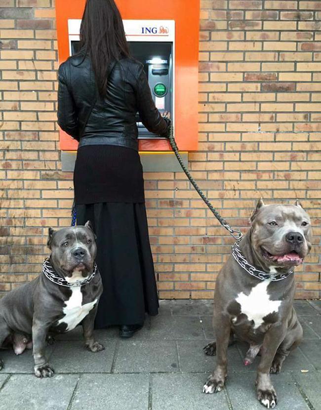 Nhìn đám vệ sĩ này, đến siêu trộm cũng phải sợ-5