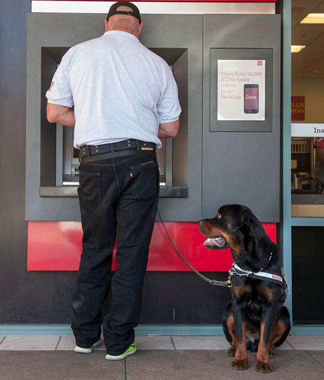 Nhìn đám vệ sĩ này, đến siêu trộm cũng phải sợ-10