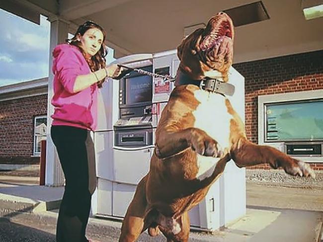 Đây là những tên trộm có tâm nhất quả đất-1