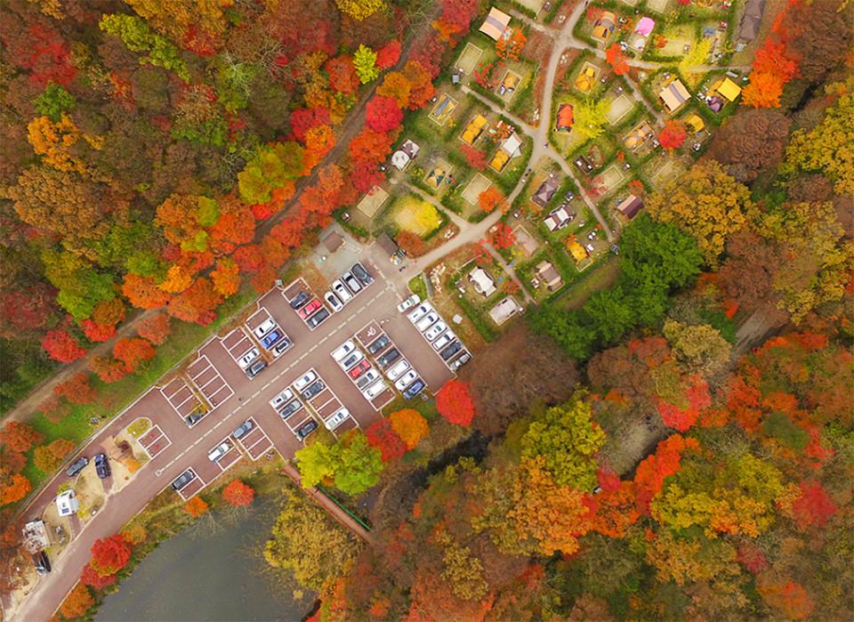 Những đường cây mùa thu đẹp nhất thế giới-4