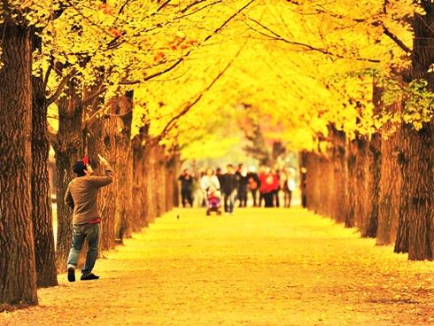 Đừng hỏi vì sao tóc rụng như trút nếu bạn cứ duy trì những thói quen sau-6