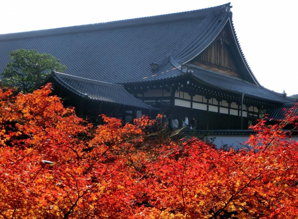 Chùa Tofuku-ji: Ngôi chùa này nổi tiếng với cây cầu Tsutenkyo bắc qua thung lũng Sengyokukan. Từ trên cầu, du khách được ngắm những hàng cây lá đỏ mọc san sát nhau. Đây được đánh giá là một trong những nơi có cảnh thu đẹp nhất Nhật Bản.  Ảnh: allabout-japan.