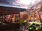 15 địa điểm ngắm lá đỏ tuyệt đẹp ở cố đô Kyoto