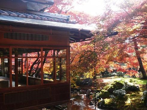 15 địa điểm ngắm lá đỏ tuyệt đẹp ở cố đô Kyoto