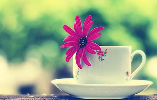 Tử vi thứ 3 ngày 3/10/2017 của 12 cung hoàng đạo-4