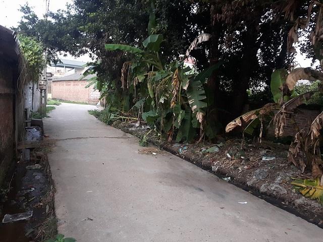 Hành trình tìm kiếm cụ bà 80 tuổi bị giết hại, phi tang xác trong bao tải ở bụi chuối-2