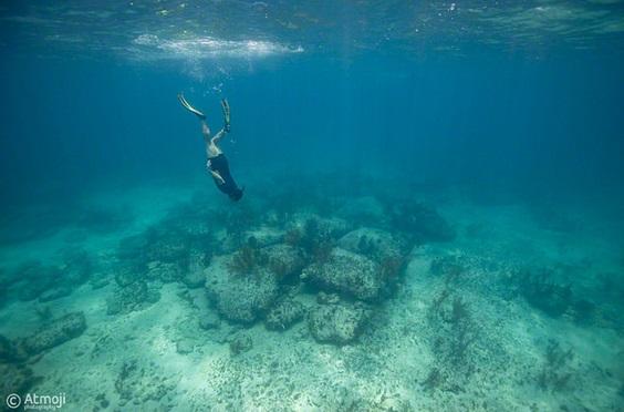 12 bí ẩn nhân loại thách đố trí thông minh của các nhà khoa học-12